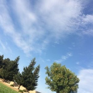 Meet your Posher, Flora